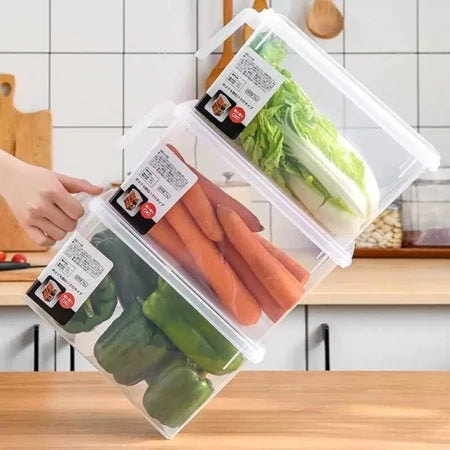Organizador de Geladeira Com Alças - Entrega Grátis