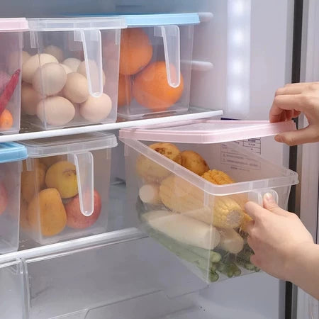 Organizador de Geladeira Com Alças - Entrega Grátis
