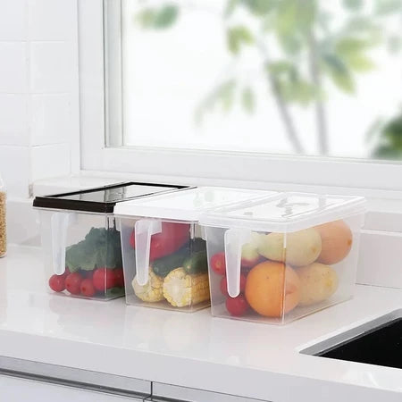 Organizador de Geladeira Com Alças - Entrega Grátis